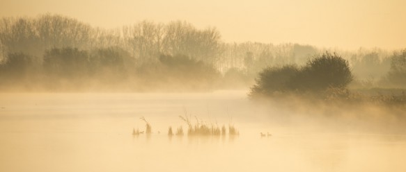 Blokkreek