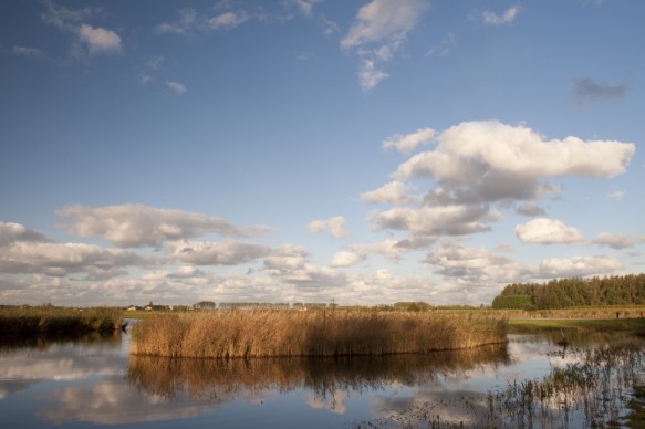Sint Kruiskreek