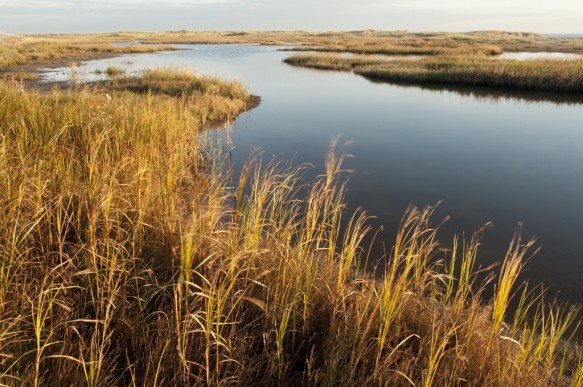 Verdronken Zwarte Polder