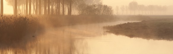 Kreek in het ochtendgloren.