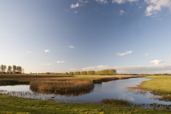 Sint Kruiskreek