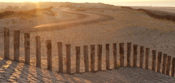 Duinen