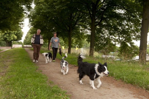 Wandelen te Hulst.