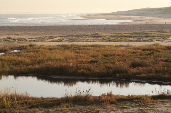 Verdronken Zwarte Polder