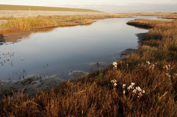 Verdronken Zwarte Polder