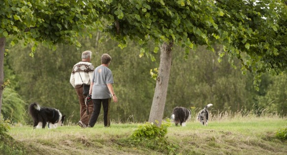 Wandelen te Hulst.