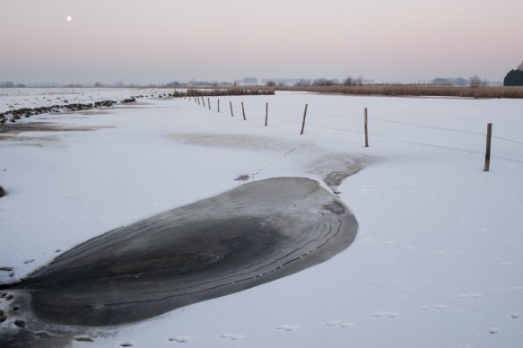 Bevroren kreek.