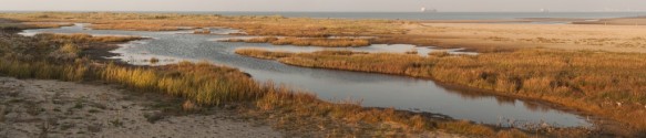 Verdronken Zwarte Polder