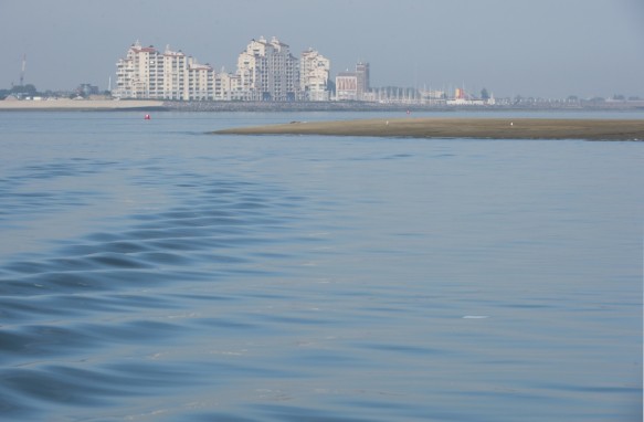 Westerschelde