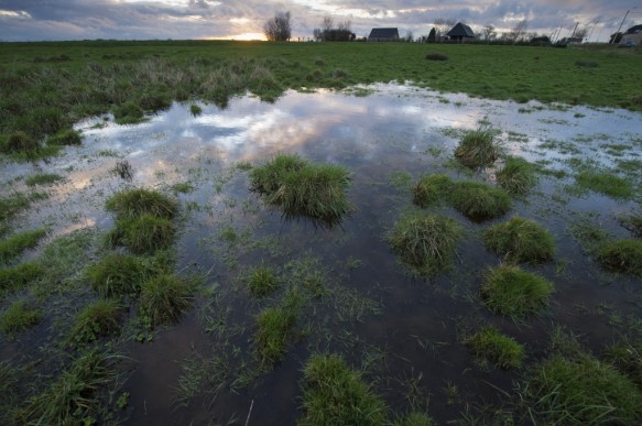 Historisch grasland.