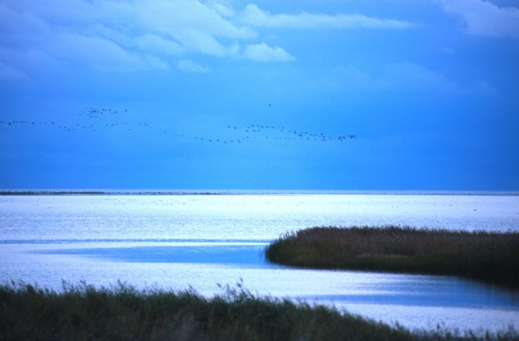 Oostzee