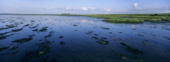 De Oosterschelde