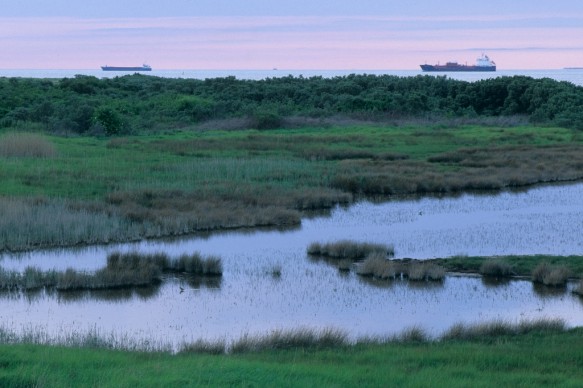 Verdronken Zwarte Polder