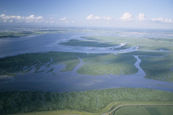 Verdronken Land van Saeftinghe.