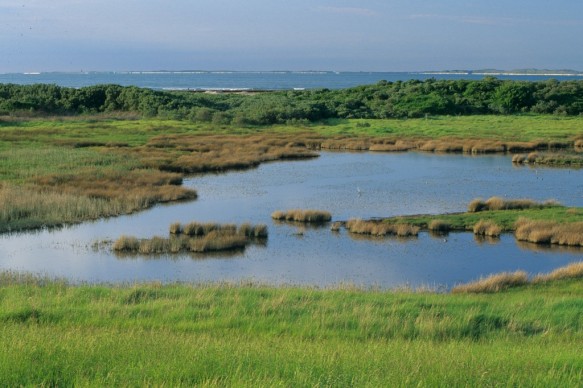 Verdronken Zwarte Polder