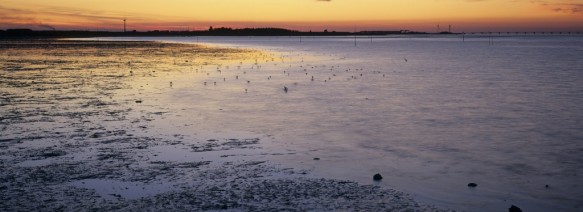 De Oosterschelde