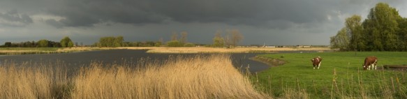 Grote geul