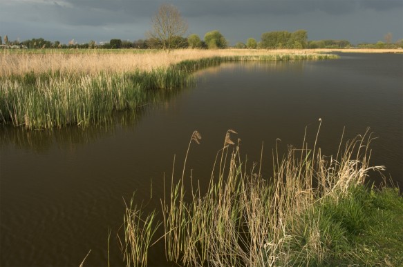 Grote Geul