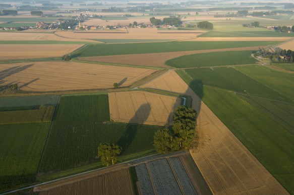 Brandkreekpolder