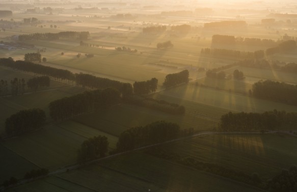 Houtland te Sint-Laureins.