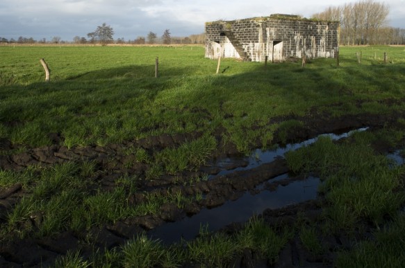Bunker