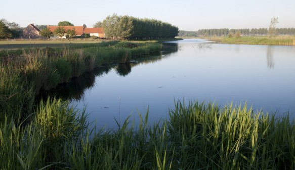 Vrouwkeshoekkreek
