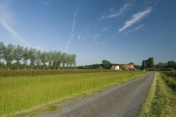 Brakelhoeve
