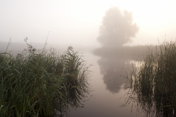 Roeselarekreek