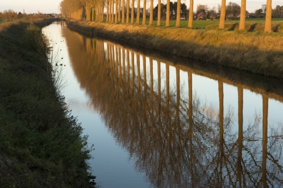 Schipdonkkanaal