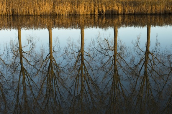 Schipdonkkanaal