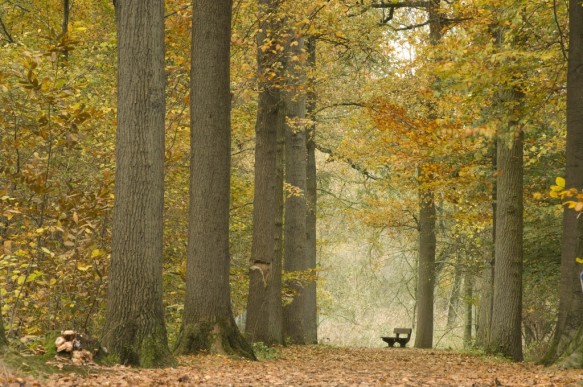 Herst in het Leen
