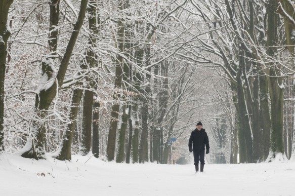 Antwerpse heirweg in de sneeuw