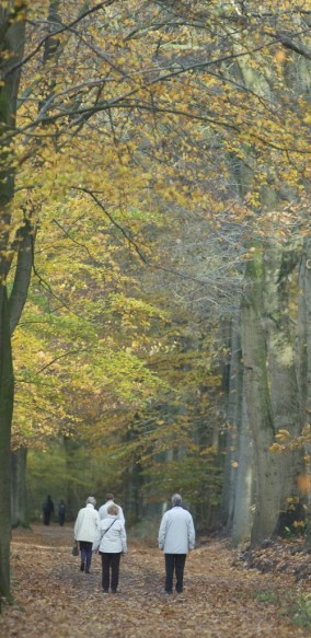 Het Leen
