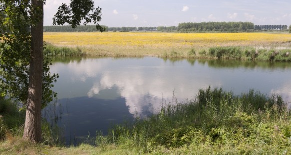 Groot Eiland