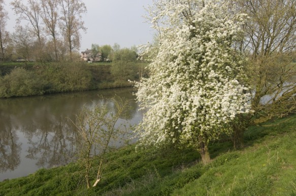 Kanaal Gent-Brugge.