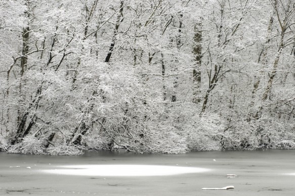 Winter in het Leen