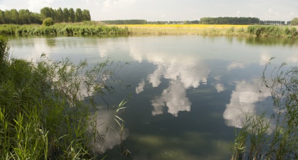 Groot Eiland
