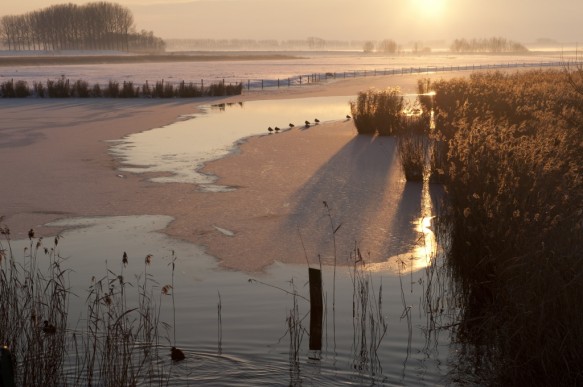 Sint-Kruiskreek.