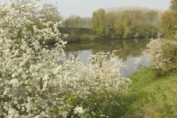 Kanaalreservaat