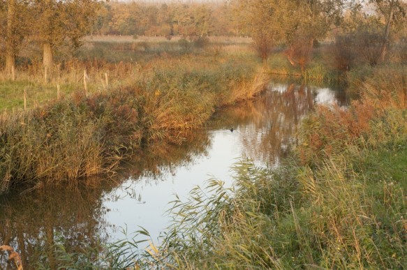 Groot Eiland
