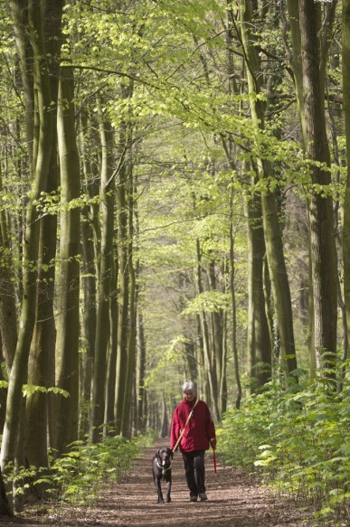 Wandelen in de natuur.