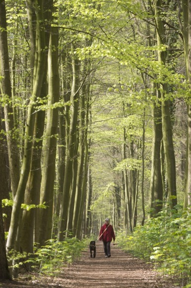 Wandelen in de natuur.