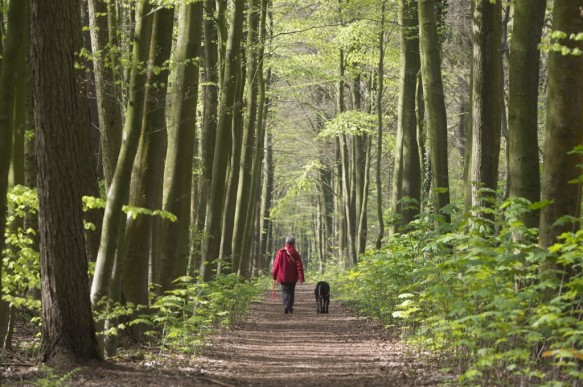 Wandelen in de natuur.
