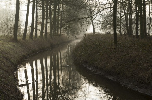 Burggravenstroom