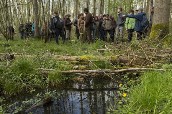 Geleide wandeling in de natuur.