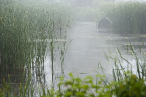 Drijvende fotohut