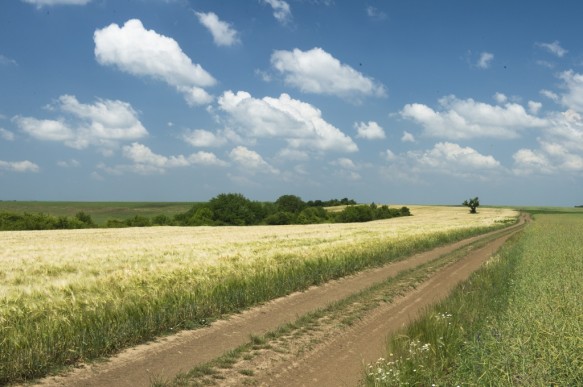 Veldweg of trage weg of onverharde weg.