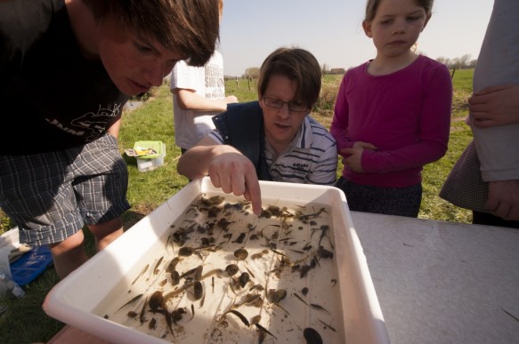 Natuureducatie.