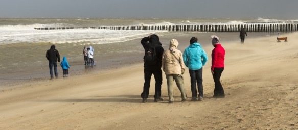 Westerschelde