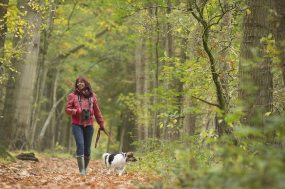 Wandelen in het Drongengoed.